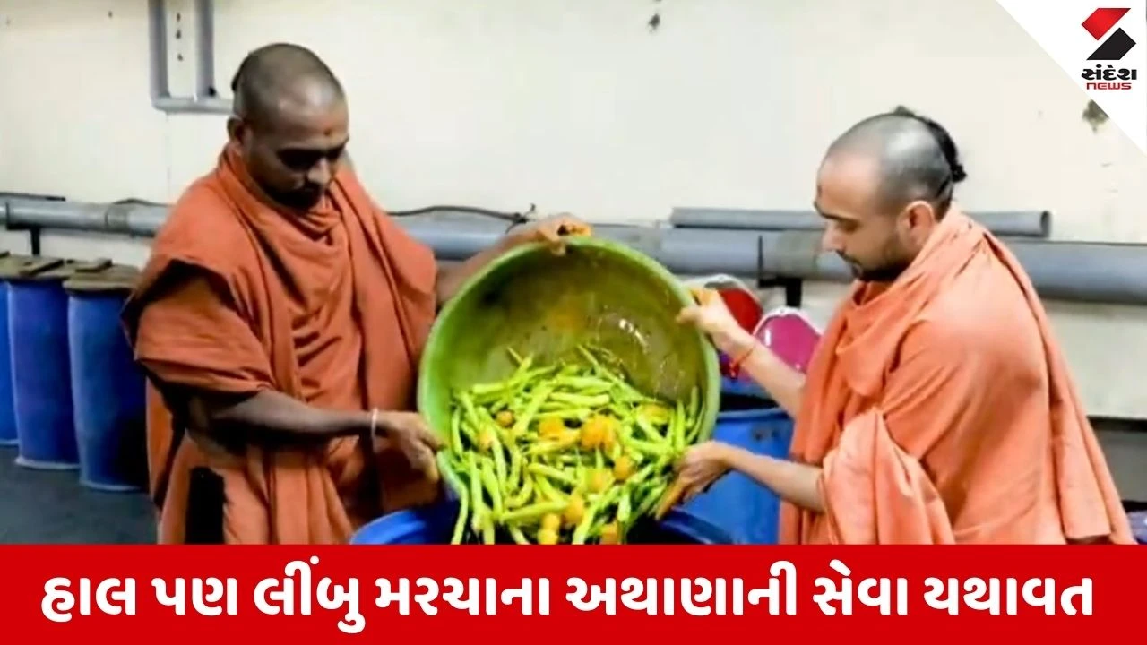 Vadatal : શ્રી સ્વામિનારાયણ મંદિરમાં 200 વર્ષ જૂની લીંબુ મરચા અથાણાની પરંપરા, બનશે 105000 કિલોના મરચા લીંબુ અથાણાં ! 