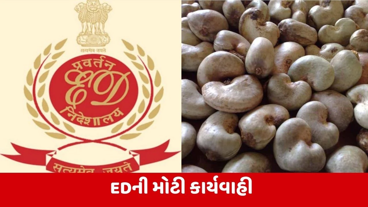 EDએ કાજુના વેપારીઓ સામે કરોડોની છેતરપિંડીના કેસમાં અનીશ બાબુની કરી ધરપકડ 
