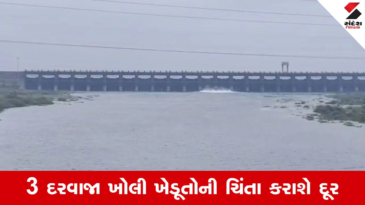 Rajkot News : ખેડૂતો માટે મોટા સમાચાર, ભાદર-2 ડેમના દરવાજા ખુલશે, રવિ પાકને મળશે જીવનદાન 