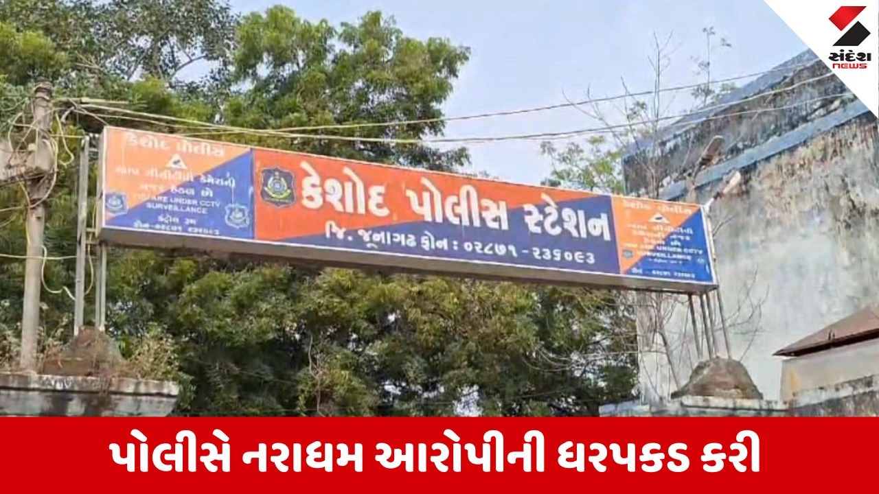 Junagadh : કેશોદ પંથકમાં મામા-ભાણીના સંબંધને કલંકિત કરતી અત્યંત શરમજનક અને હૃદયદ્રાવક ઘટના, પોલીસમાં નોંધાઇ ફરિયાદ 
