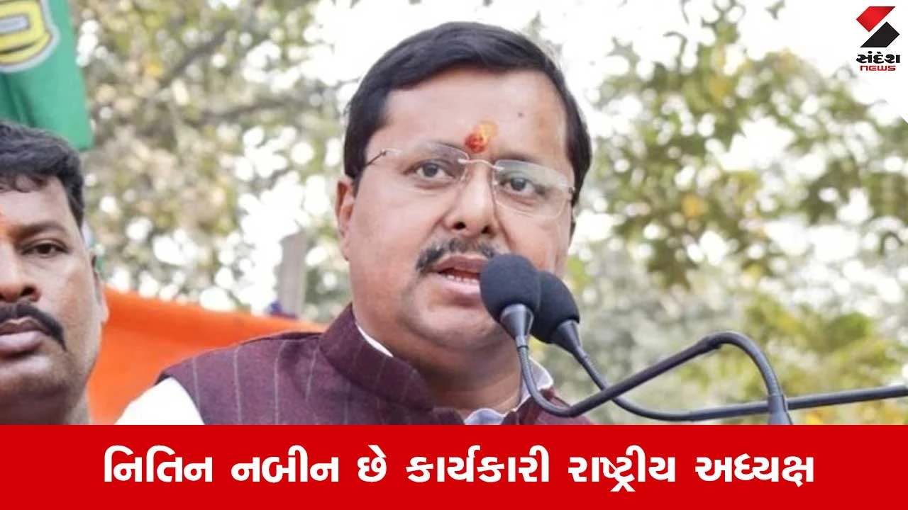 BJP President Election: બીજેપીને 20 જાન્યુઆરીએ મળશે નવા રાષ્ટ્રીય અધ્યક્ષ, પાર્ટીએ નોટિફિકેશન કર્યુ જાહેર 