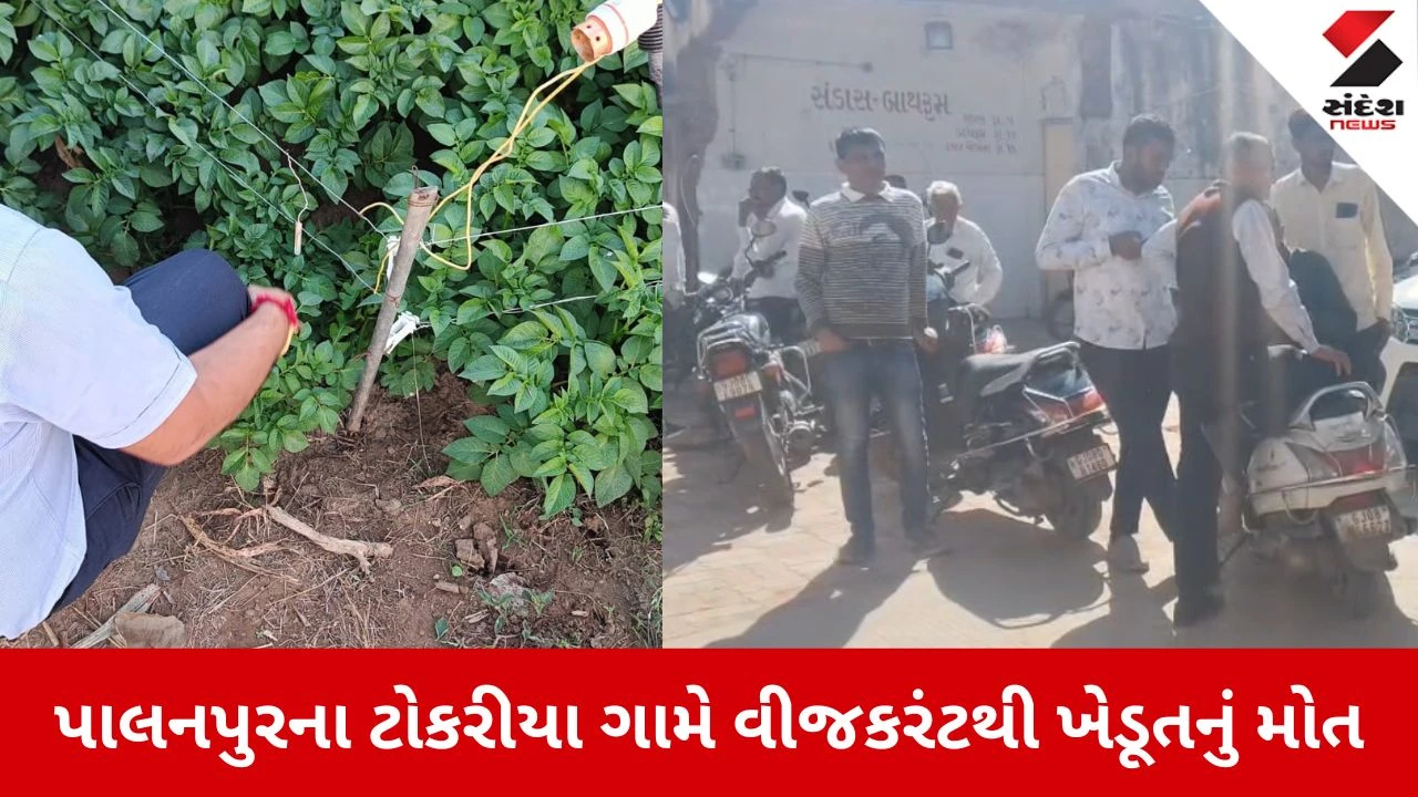 Banaskantha: ટોકરીયા ગામે ઝટકા મશીનના કરંટથી ખેડૂત અને શ્વાનનું કરુણ મોત, બે ખેડૂતો સામે ગુનો દાખલ 