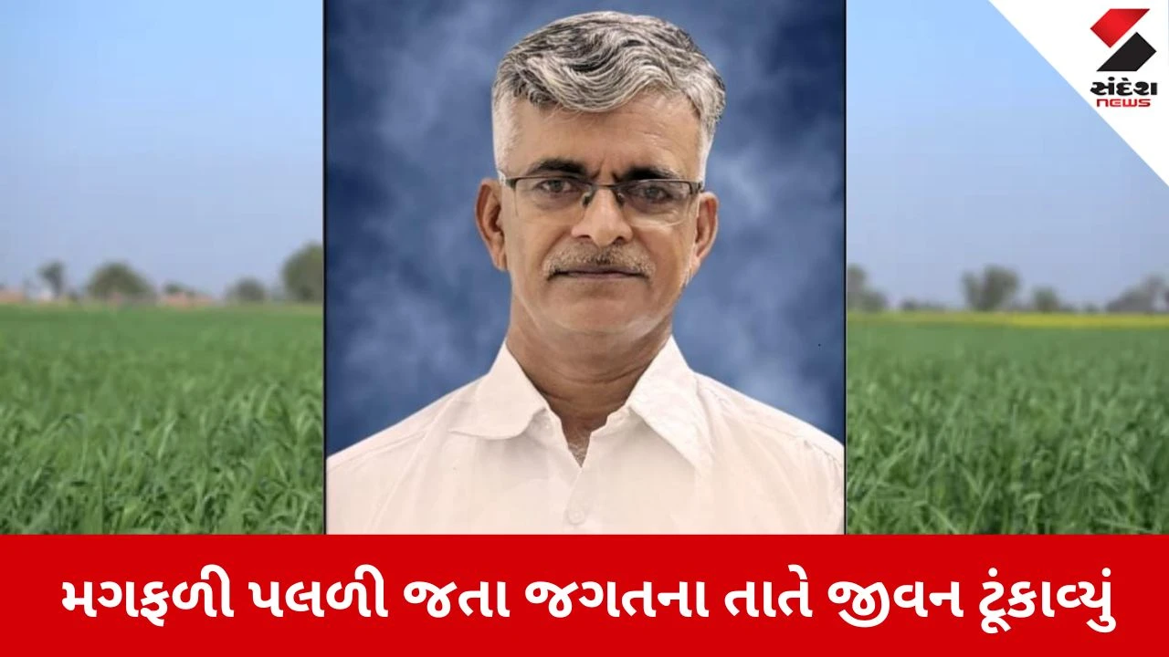 Junagadh News: મગફળી પલળી જતા જગતના તાતે જીવન ટૂંકાવ્યું 
