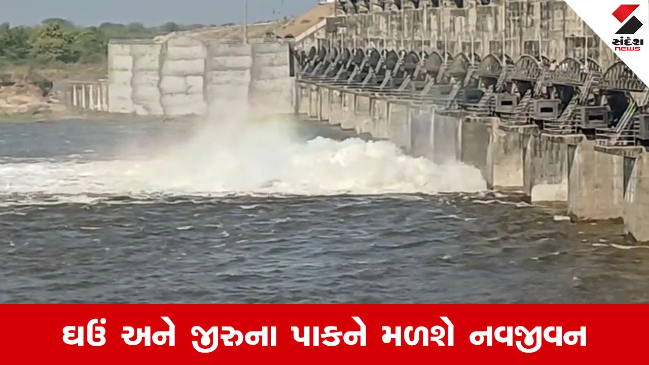 Rajkot News : ઘેડના ખેડૂતો માટે ખુશીના સમાચાર, રવિ સીઝન માટે ભાદર-2 ડેમમાંથી છોડાયું પાણી 