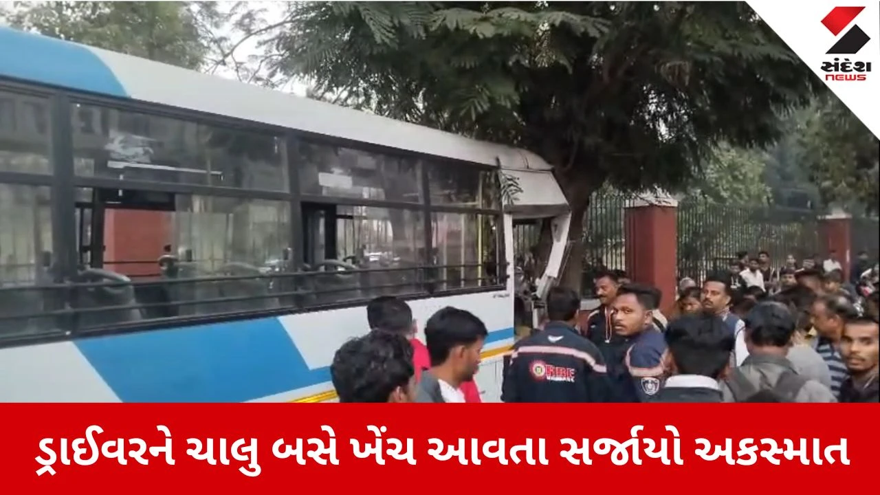 Vadodara News: ડ્રાઈવરને ચાલુ બસે ખેંચ આવતા સર્જાયો અકસ્માત, 20 મુસાફરોનો આબાદ બચાવ 