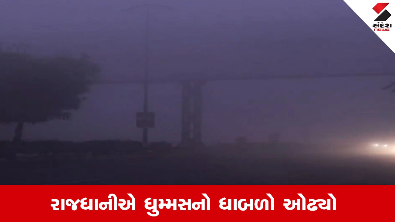 Weather Update : ગાઢ ધુમ્મસની આગોશમાં દિલ્હી- NCR, ફ્લાઇટ્સ-ટ્રેનો પર ગંભીર અસર 
