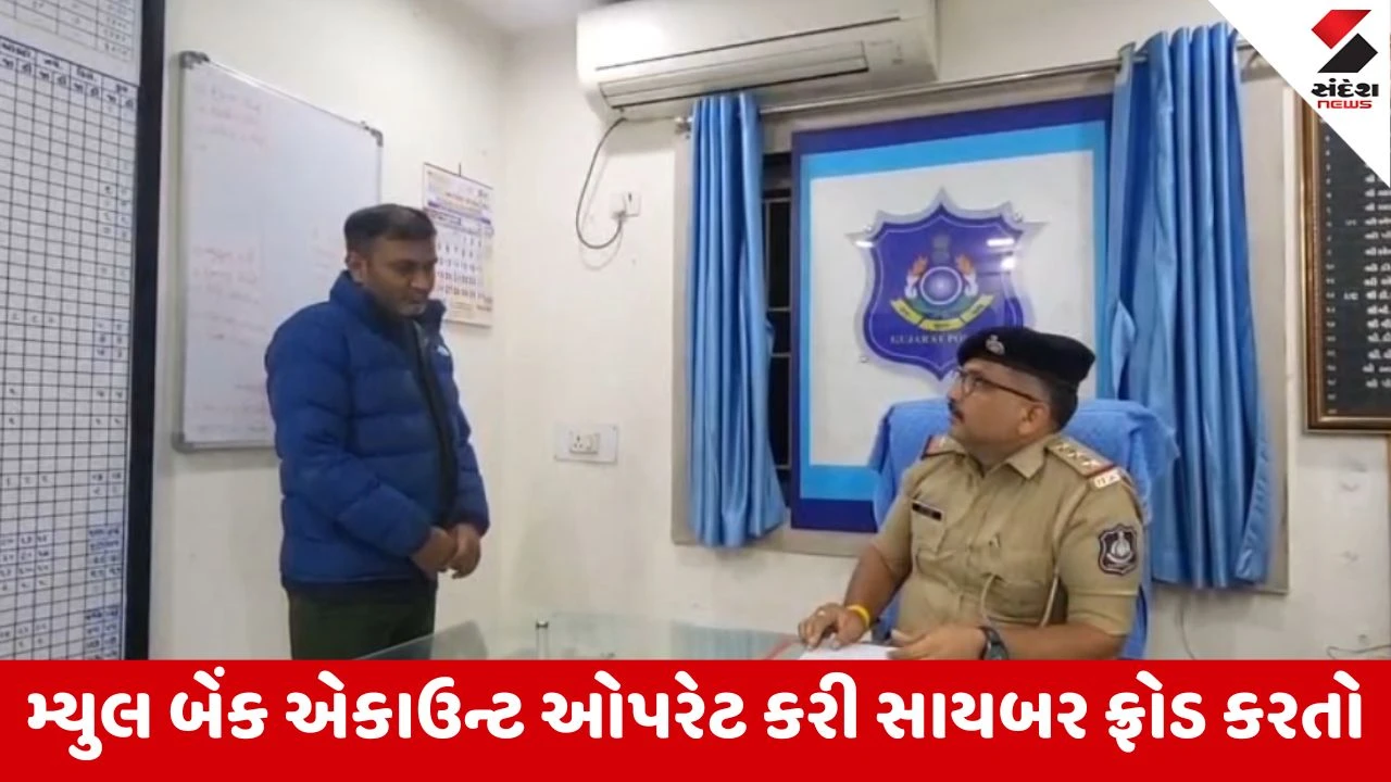 Anand : ઓપરેશન મ્યુલ હન્ટમાં બોરસદ પોલીસને મોટી સફળતા, 7 કરોડથી વધુના 4 સાયબર ફ્રોડનો પર્દાફાશ 