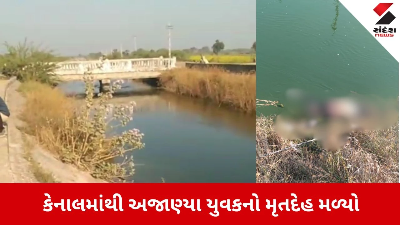 Halvad News: કેનાલમાંથી મળ્યો યુવકનો મૃતદેહ, હત્યા કે આત્મહત્યા? 