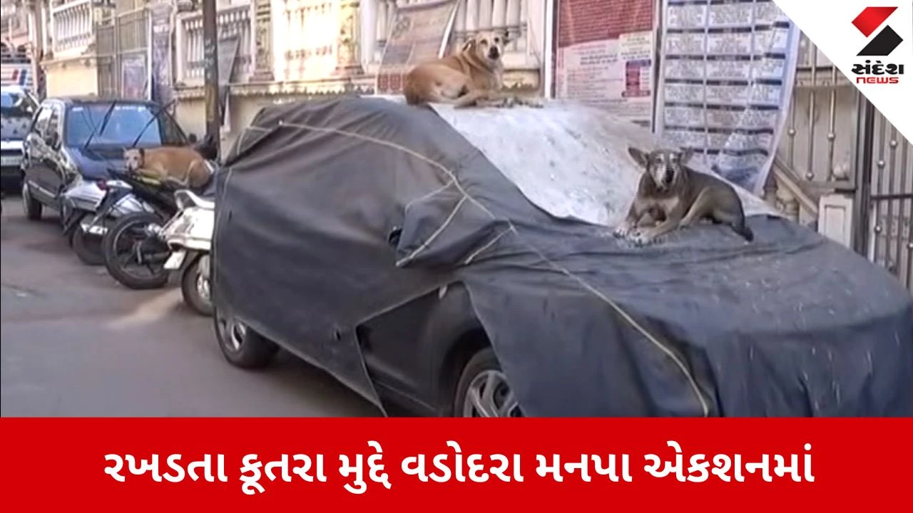 Vadodara News: રખડતા કૂતરાના ત્રાસમાંથી મળશે મુક્તિ 