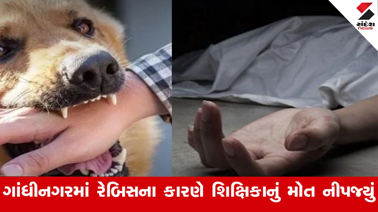 Gandhinagar News : ગાંધીનગરમાં પૂર્વ IAS સુબ્બારાવની પુત્રીનું હડકવાથી મોત, પાળતું શ્વાને બચકુ ભરતા થઈ હતી હડકવાની અસર 