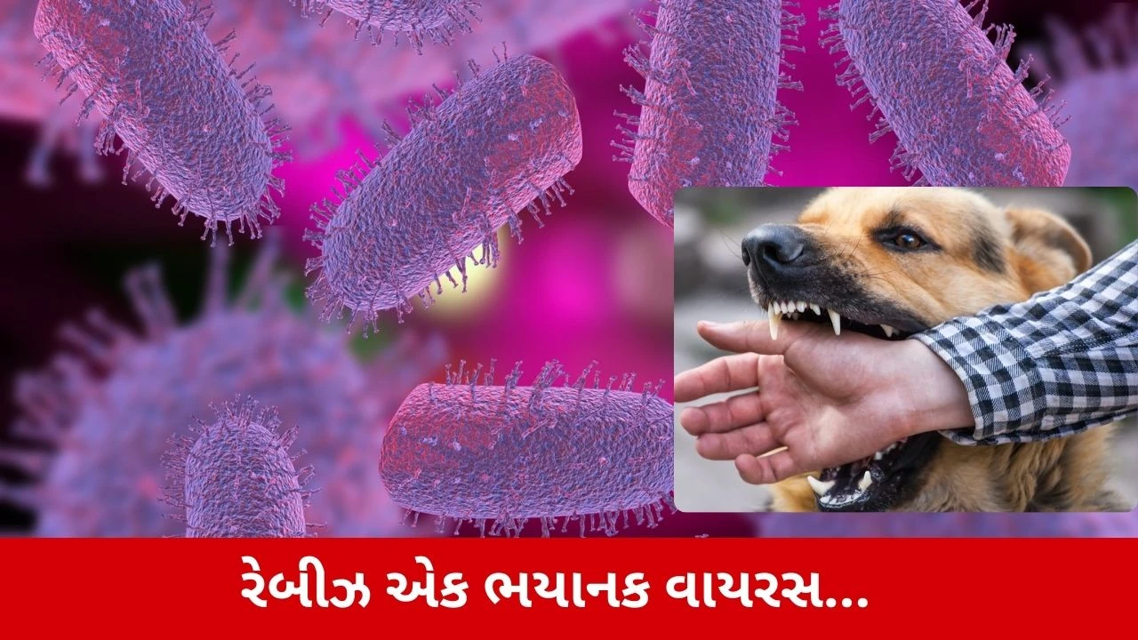 Rabies Virus : સાવધાન! જીવલેણ બની શકે છે રેબીઝ વાયરસ, જાણો તેના લક્ષણો અને બચવાના ઉપાયો 