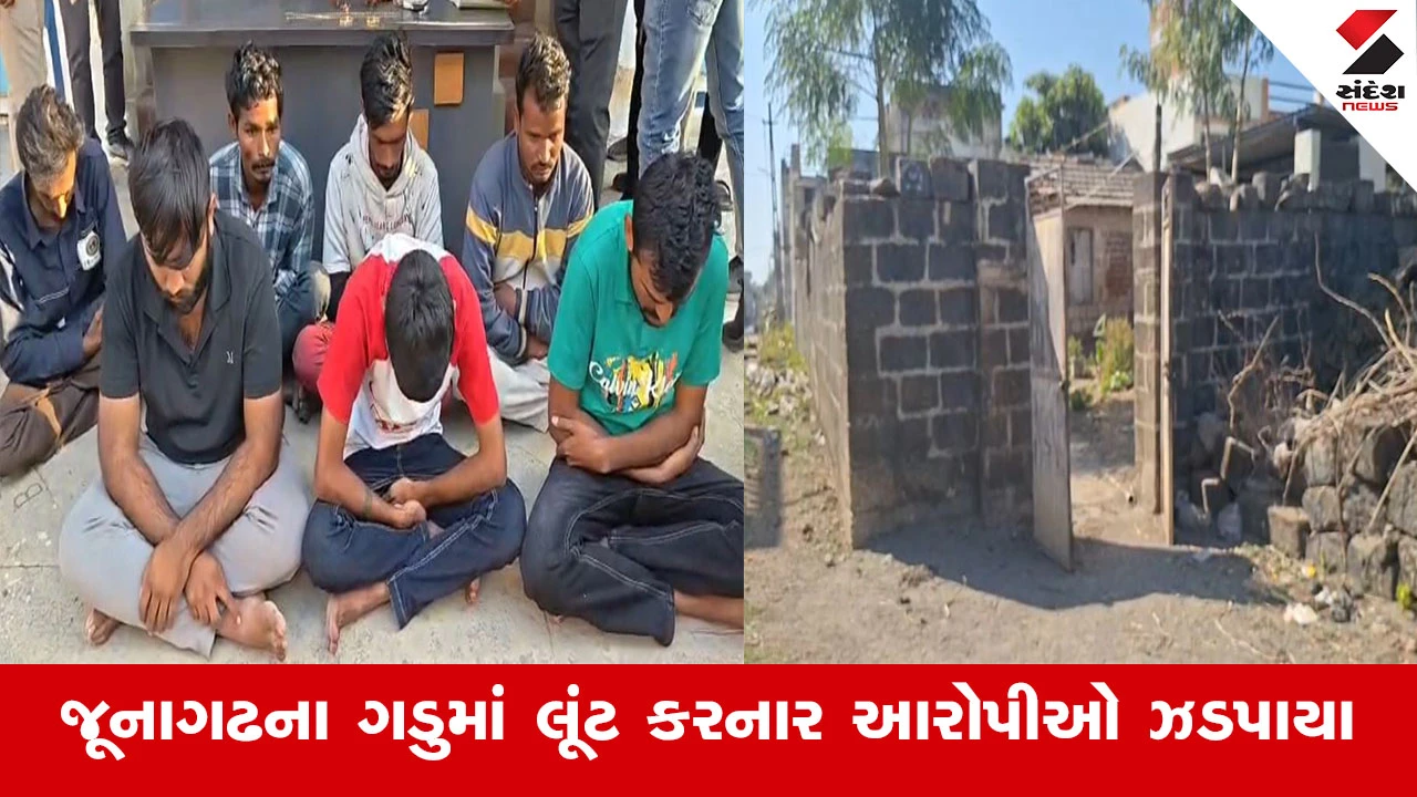 Junagadh News : જૂનાગઢના ગડુમાં લૂંટ કરનાર 7 આરોપી ઝડપાયા, લૂંટારુઓએ વૃદ્ધને બેફામ માર મારી લૂંટ ચલાવી હતી 