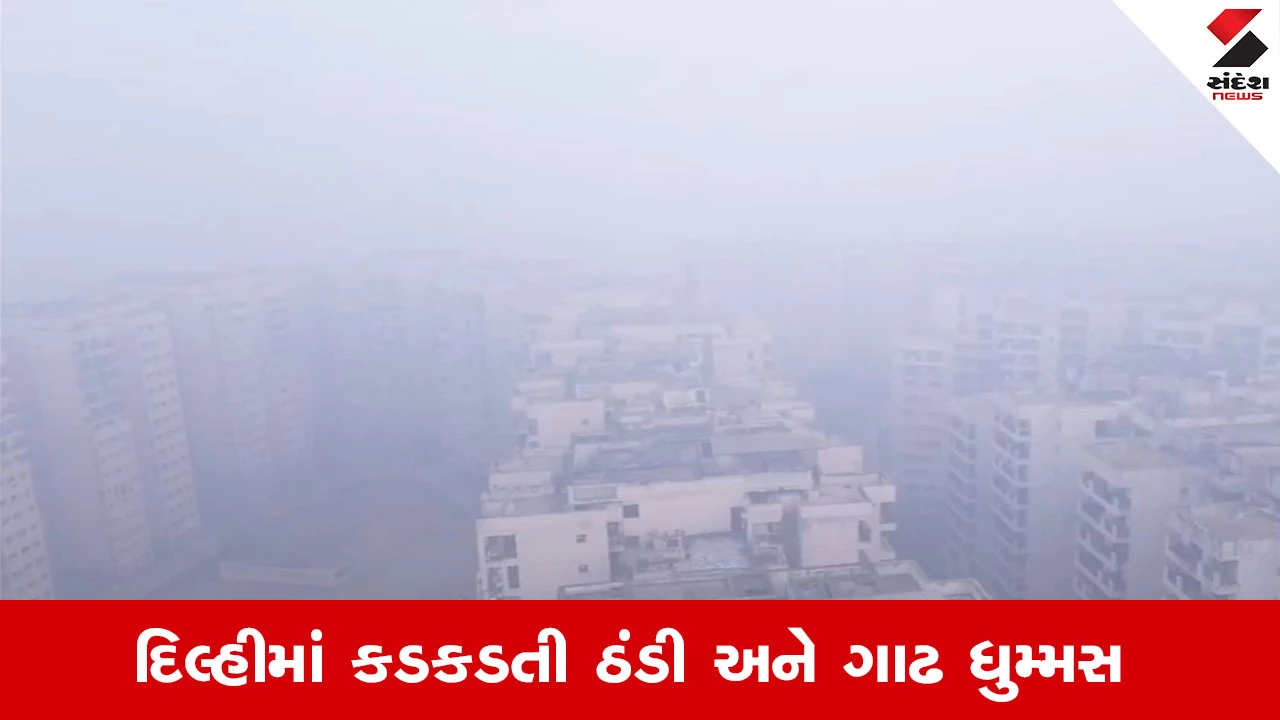 Weather Update: દિલ્હીમાં કડકડતી ઠંડી અને ગાઢ ધુમ્મસની વચ્ચે 4 ડિગ્રી પારો ગગડ્યો 