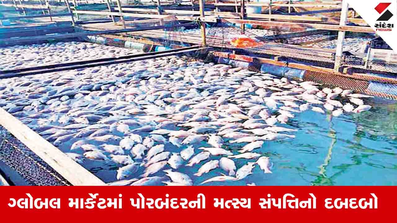 Porbandar News: જિલ્લામાં વાર્ષિક આશરે 88 હજાર મેટ્રિક ટન જેટલું મત્સ્ય ઉત્પાદન થાય છે 