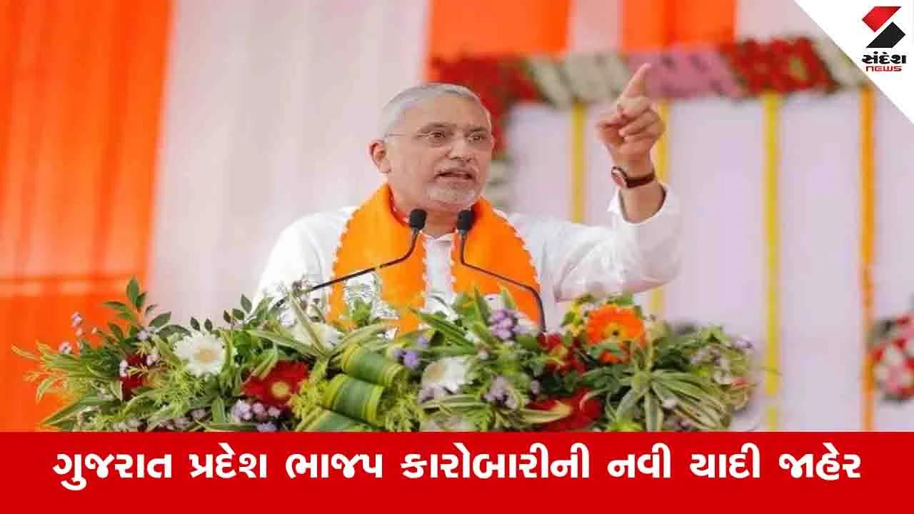 Gujarat News : ગુજરાત ભાજપના સંગઠનમાં ધરખમ ફેરફાર, જાણો નવી કારોબારી યાદીમાં કોને સ્થાન મળ્યું 