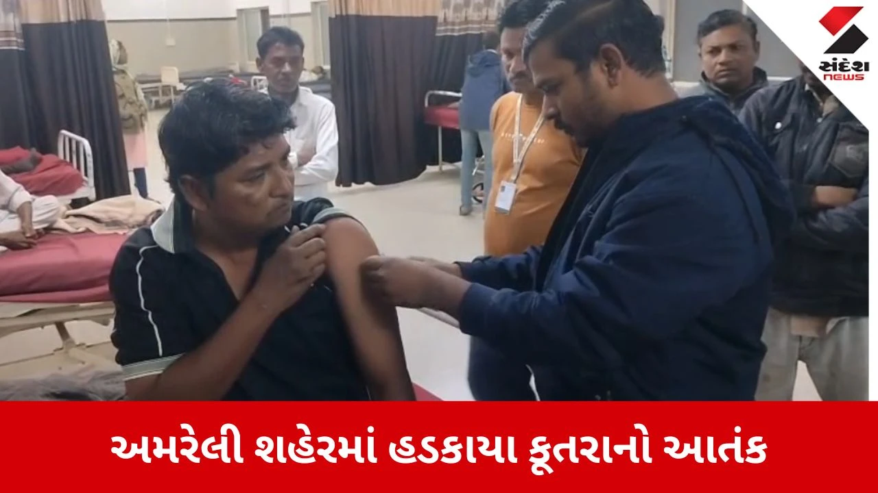Amreli: હડકાયા કૂતરાનો હાહાકાર, એક જ દિવસમાં 33 લોકોને બચકા ભર્યા 