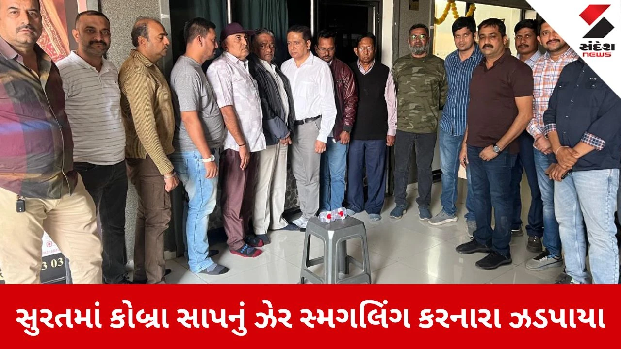 Surat: 5.85 કરોડની કિંમતના કોબ્રા સાપના ઝેર સાથે 7 સ્મગલરો ઝડપાયા, આંતરરાષ્ટ્રીય બજારમાં ભારે માંગ 