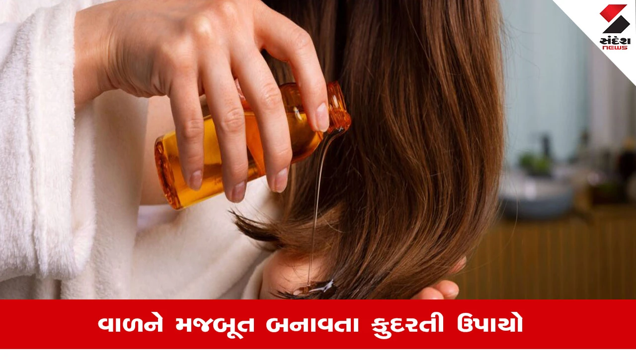 Hair Fall Remedies: વાળ ખરવાની સમસ્યાથી છો પરેશાન? કેમિકલ છોડો અને અપનાવો આ આયુર્વેદિક 'અમૃત' જેવી ઔષધિ