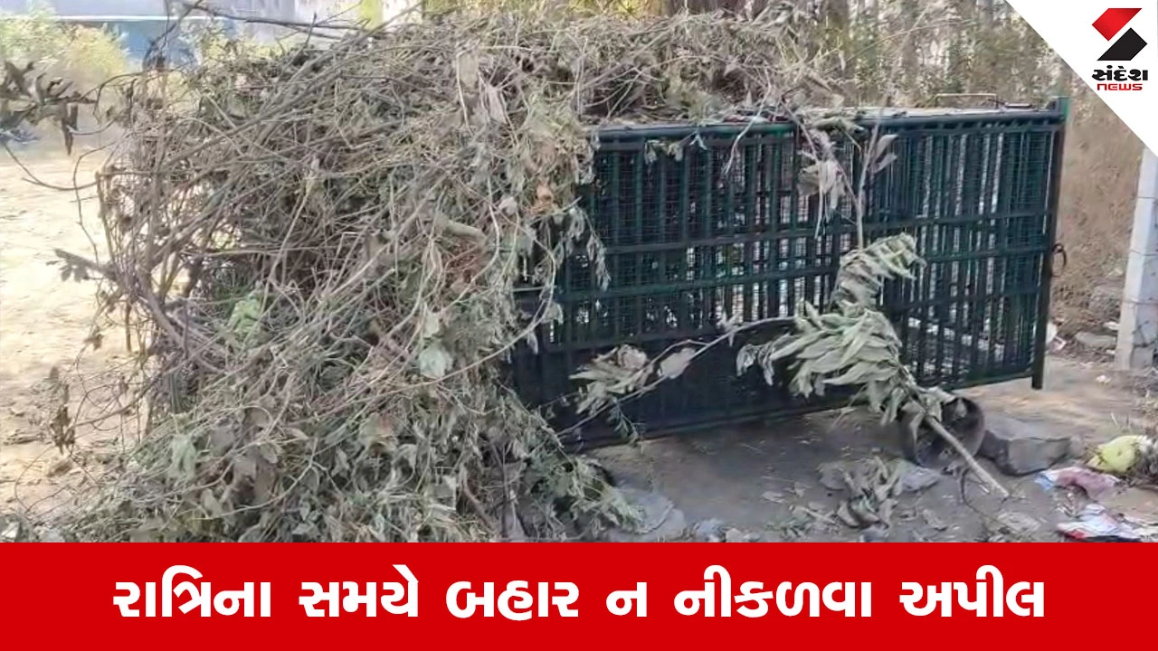 Daman માં દીપડાની દહેશત, ડાભેલના રહેણાંક વિસ્તારમાં દીપડો દેખાતા સ્થાનિકોમાં ફફડાટ 