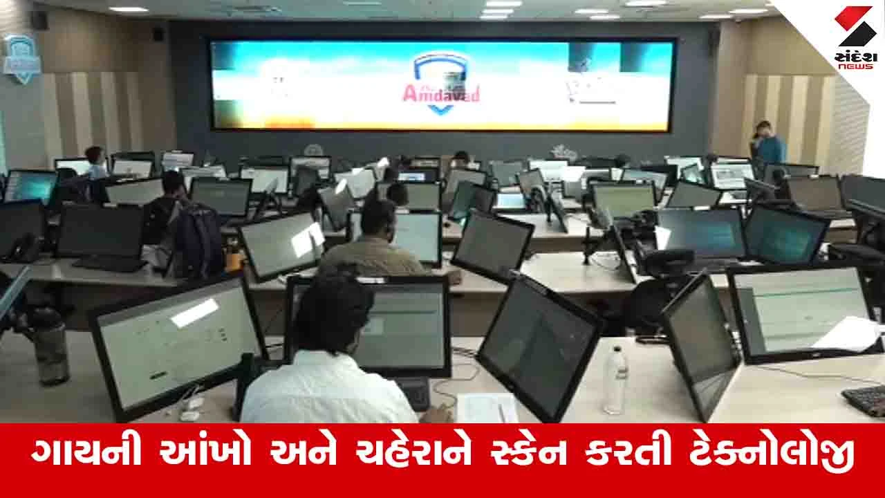 Ahmedabad News : CCTV અને AI ટેકનોલોજીથી કેવી રીતે રખડતા ઢોરના માલિકની ઓળખ કરાશે, જાણો શું છે આખી પ્રક્રિયા