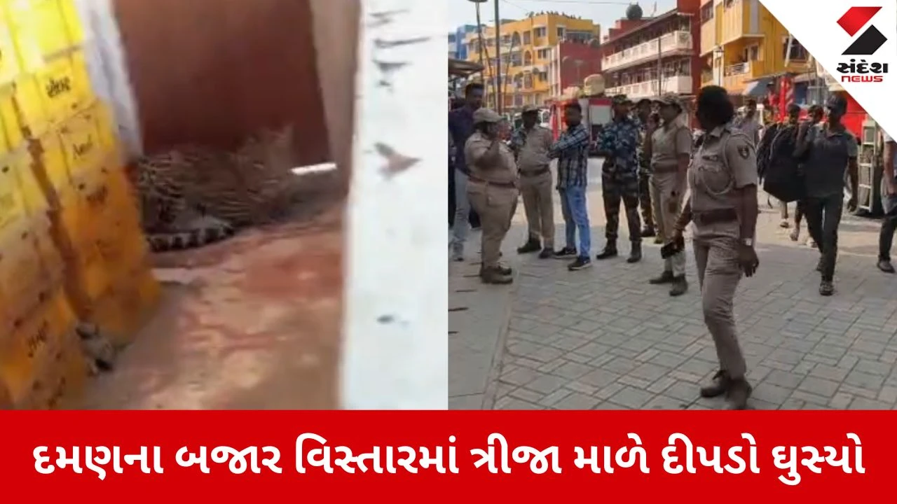Daman: ભરચક બજારમાં દીપડાની લટાર, ત્રીજા માળે ઘૂસી જતાં અફરાતફરી 