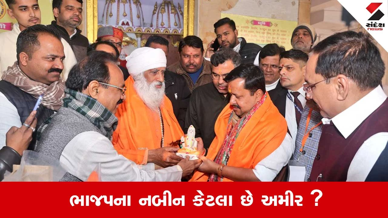 Nitin Nabin Networth: 3.8 કરોડની સંપત્તિ, 35 હજાર રોકડ અને..જાણો ભાજપની કમાન સંભાળનારા નીતિન નબીનની નેટવર્થ 