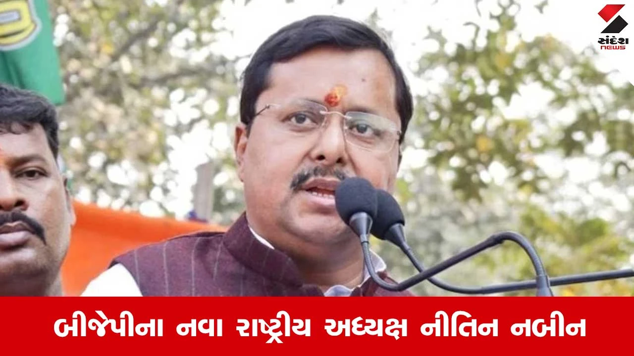 BJP National President: બીજેપીના નવા રાષ્ટ્રીય અધ્યક્ષ નીતિન નબીન કોણ છે? 