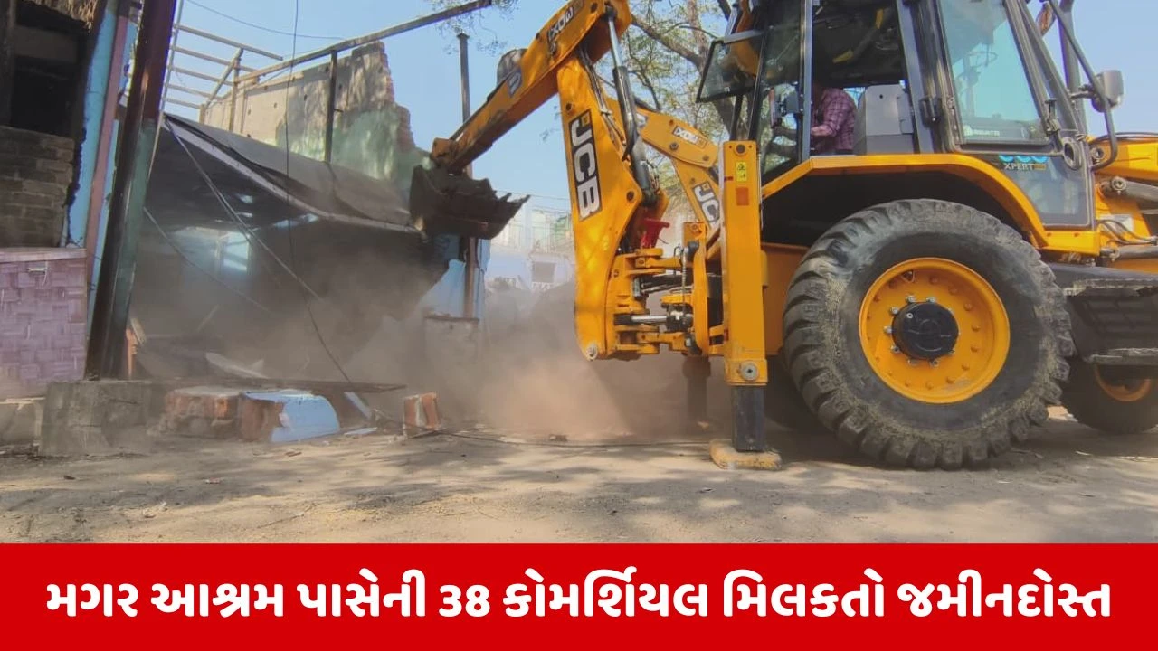 Vadodara: સરસિયા તળાવ પર તંત્રનું મેગા ડિમોલિશન,30 વર્ષ જૂના દબાણો પર ફરી વળ્યું પાલિકાનું બુલડોઝર 