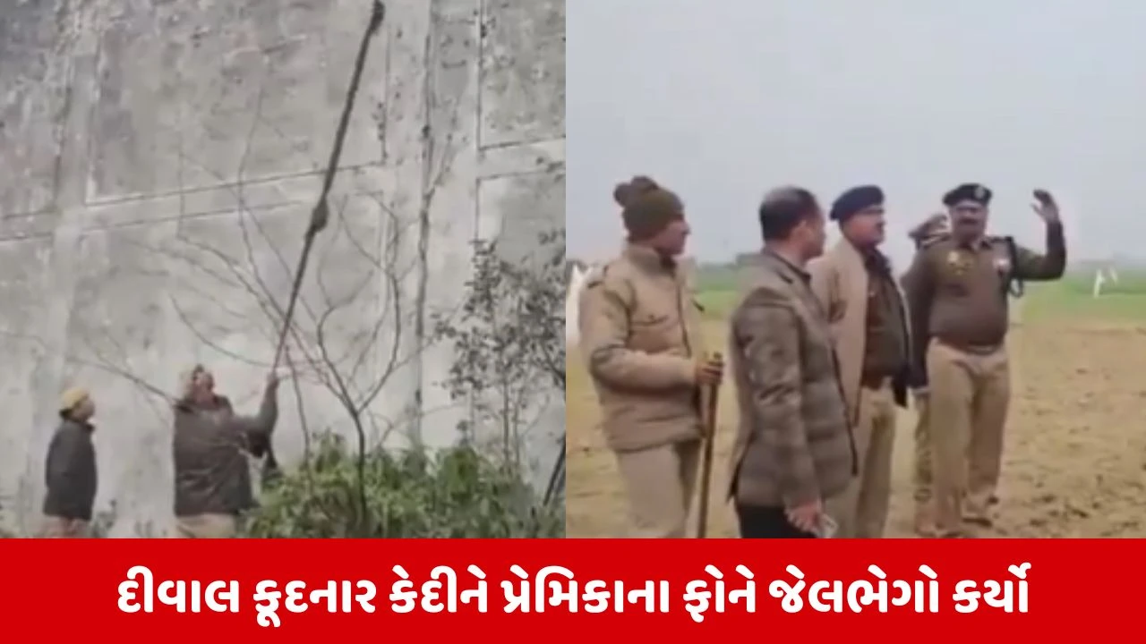 22 ફૂટ ઊંચી દીવાલ કૂદીને 50 હજારનો નામી આરોપી પ્રેમિકાને મળવા ભાગ્યો તો ખરો પછી આવી ટ્વિસ્ટ, વાંચો Full Story 