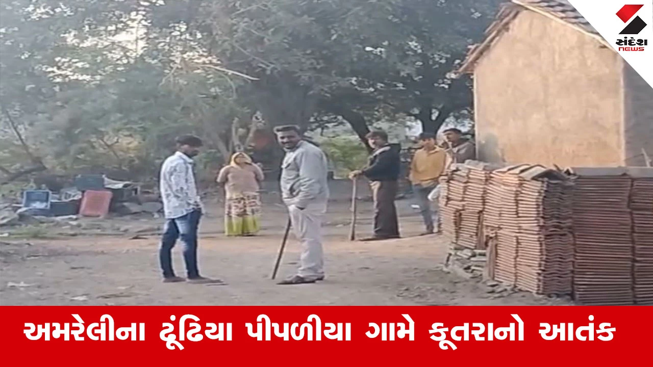 Amreli News : અમરેલીના આ ગામમાં હડકાયા કૂતરાનો વધ્યો ત્રાસ, લોકોને ઘરની બહાર નીકળવું બન્યું મુશ્કેલ 