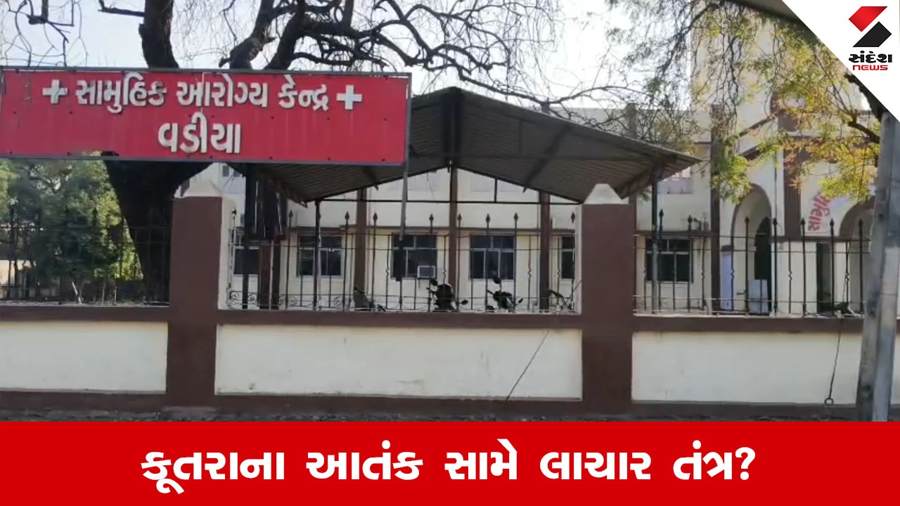Amreli ના ઢૂંઢિયા પીપળીયા ગામે હડકાયા કૂતરાનો આતંક, એક જ સવારે 4 લોકોને બચકા ભર્યા 