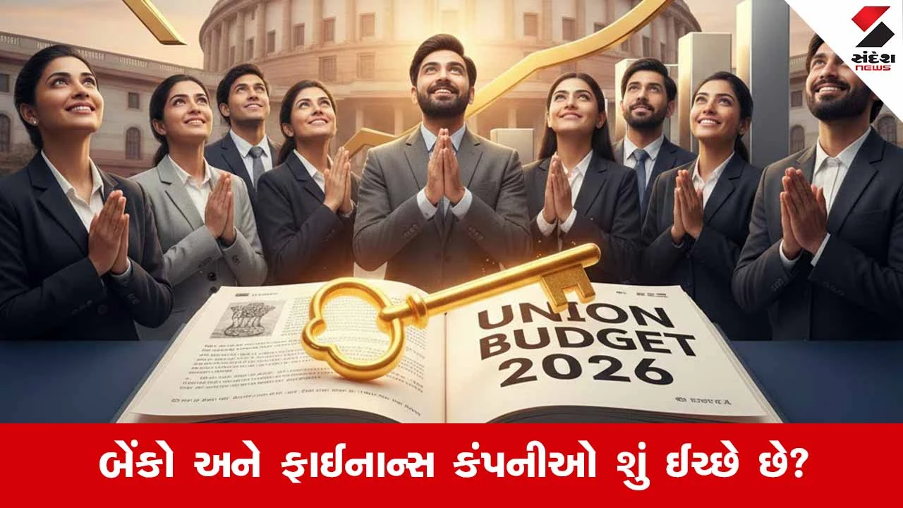 Union Budget 2026 : મૂડી મર્યાદા હળવી થશે? બજેટથી ફાઈનાન્સ સેક્ટરને આશા 
