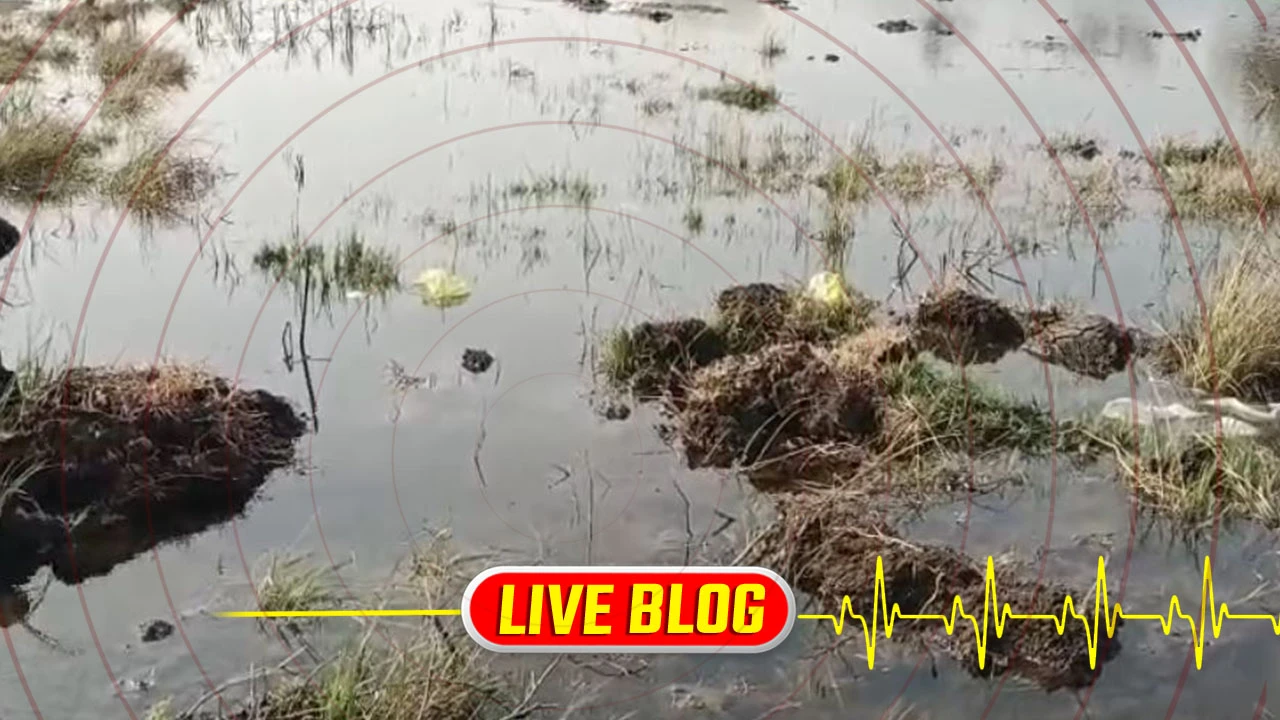 Gujarat Latest News Live : વાઘોડિયાના ખેરવાડી ગામે નર્મદાના પાણી ઘૂસ્યા, સુરતળાવ માઇનોર કેનાલ તૂટતા પાણીનો વેડફાટ 