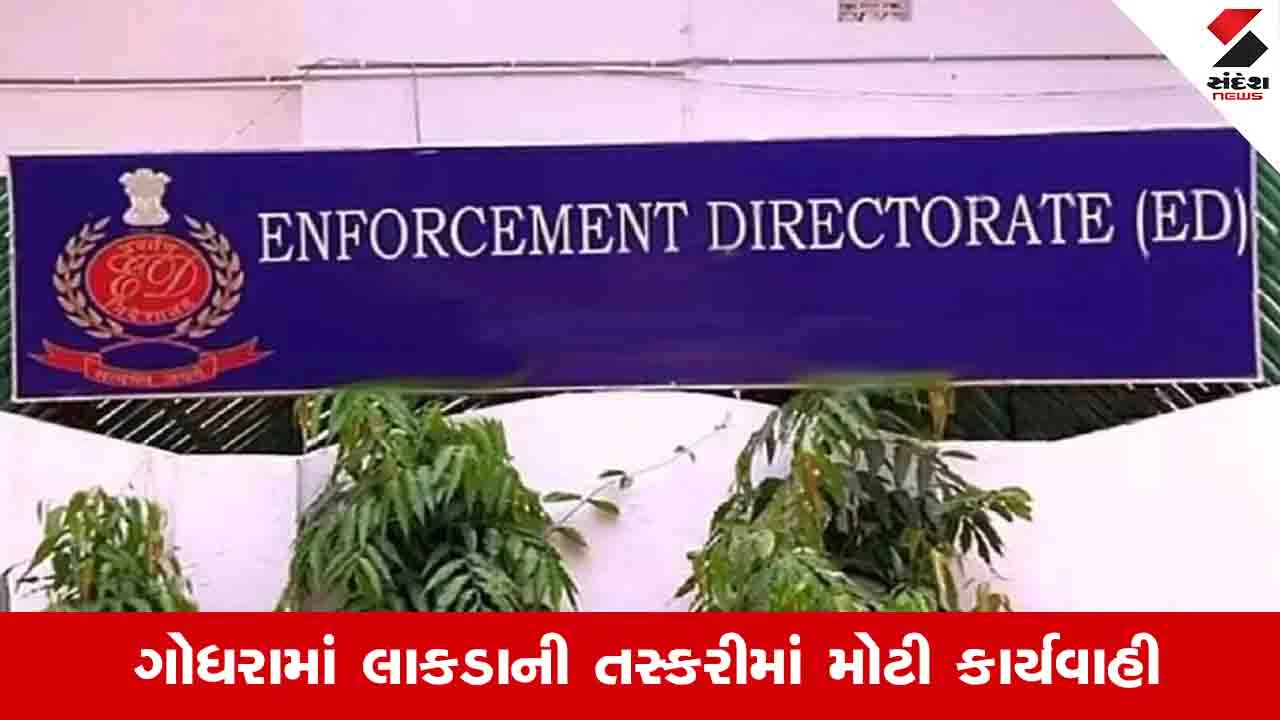 Gujarat News: ગોધરામાં જંગલમાંથી ખેરના લાકડાના ગેરકાયદે કટિંગ અને તસ્કરીના કેસમાં EDની કાર્યવાહી 