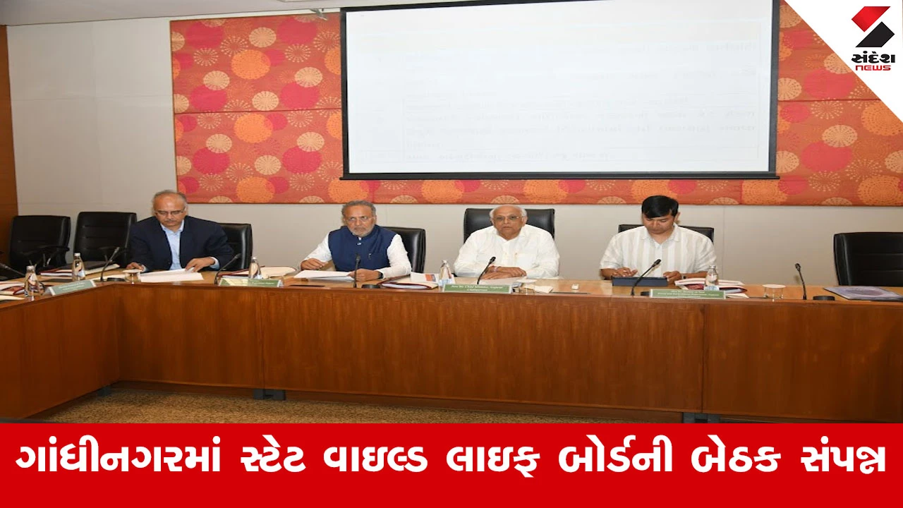 Gandhinagar News : ભારત સરકારના વન પર્યાવરણ મંત્રાલય દ્વારા જેસોર અભયારણ્યને રીંછના સંવર્ધનના રાષ્ટ્રીય કાર્યક્રમમાં આવરી લેવાયું છે 