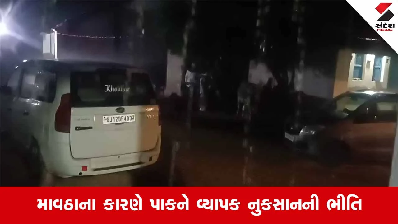Kutchમાં કુદરતનો પ્રકોપ: સરહદી પંથકમાં કમોસમી વરસાદથી ખેડૂતો ચિંતિત 