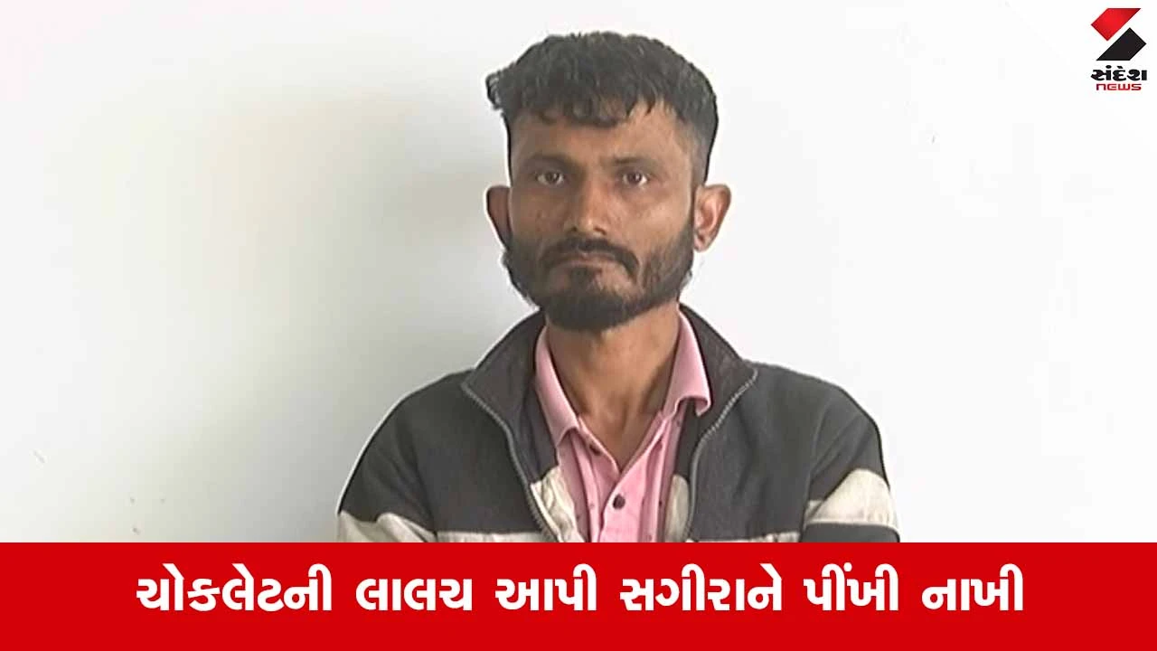 Rajkotમાં માનવતા શરમાઈ: સ્કૂલવાન ચાલકે 14 વર્ષીય સગીરા પર આચર્યું દુષ્કર્મ 