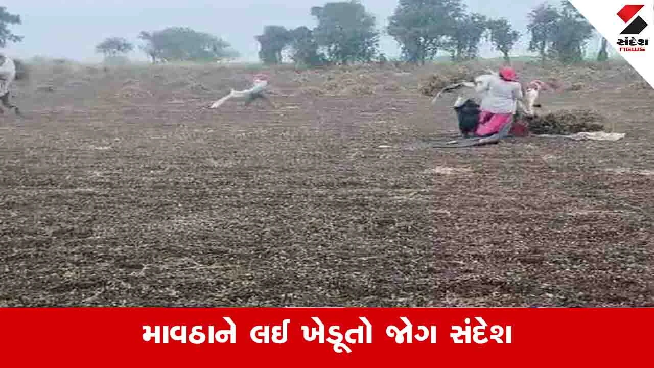 Agriculture News: કમોસમી વરસાદની આગાહીને લીધે ખેડૂતો માટે સંદેશ: પાકને બચાવવા તકેદારીનાં પગલાં લો.