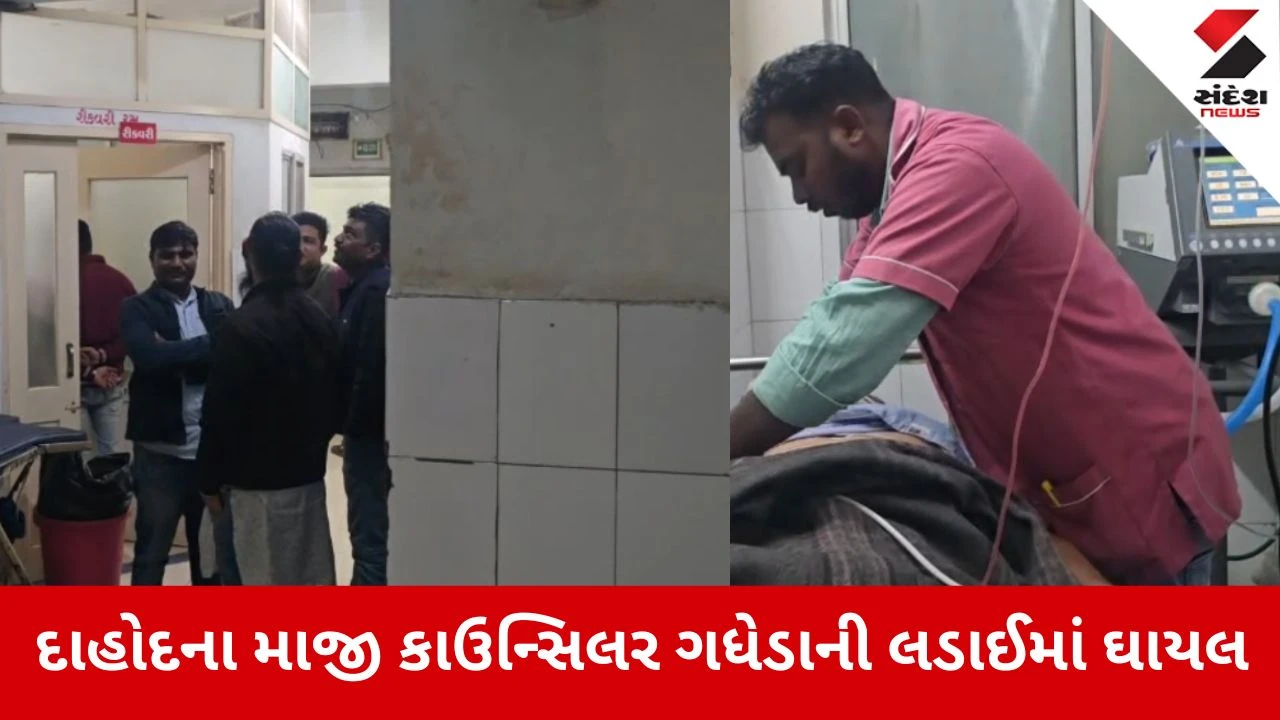 Dahod: બે ગધેડાઓની લડાઈમાં માજી કાઉન્સિલર શિકાર બન્યા, માથામાં લાત મારતા હાલત ગંભીર 