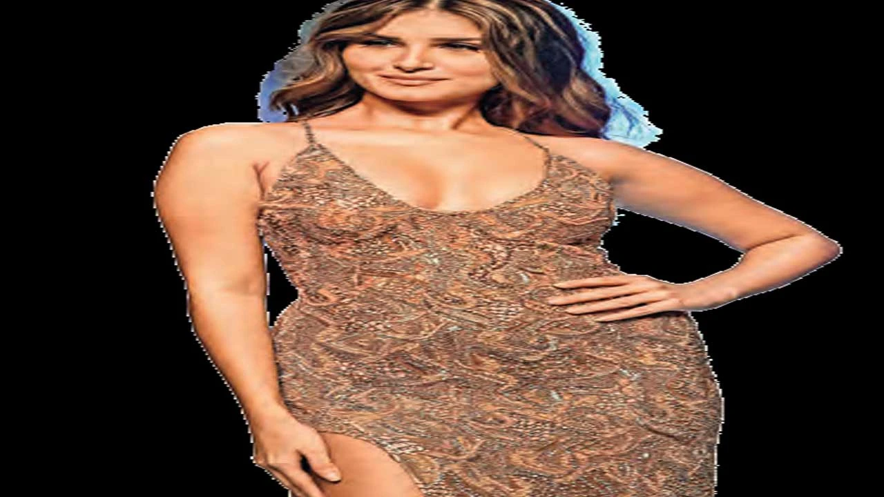 તારા સુતરિયા અને વીર પહાડિયાનું બ્રેકઅપ AP Dhillonને કારણે થયું હોવાની ચર્ચા: એક નજર.