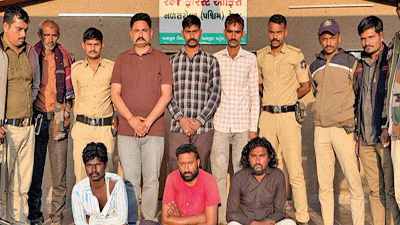 Viramgam: નળકાંઠાના ઢાબામાંથી શિકાર કરેલા ત્રણ પક્ષી સાથે ત્રણ શખ્સોને વન સંરક્ષકની ટીમે દબોચ્યા 