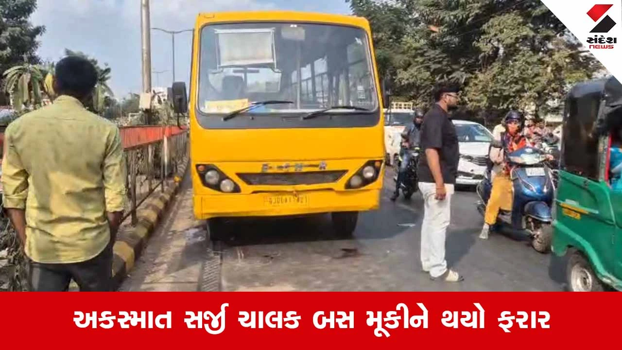 Vadodara News: માણેજા રોડ પર સ્કૂલ બસની અડફેટે મોપેડ સવાર મહિલા થઈ લોહીલુહાણ 