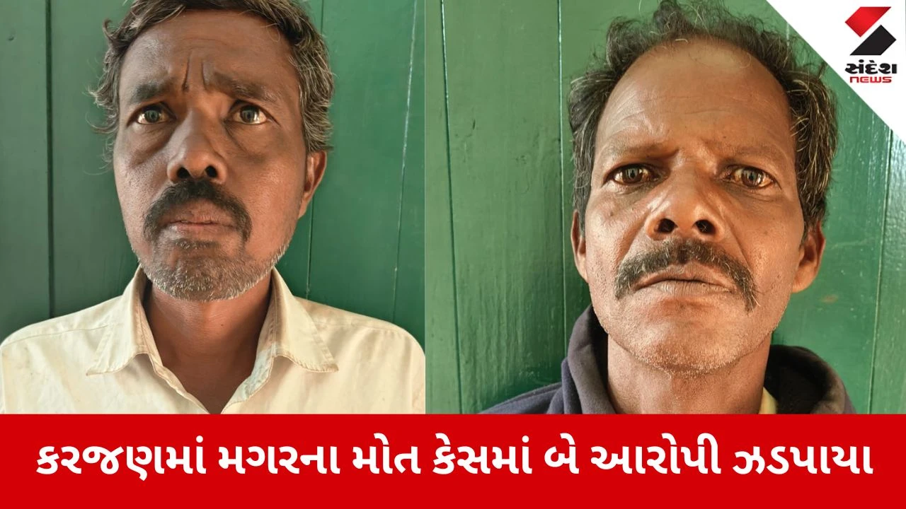Vadodara: કરજણના ચોરભુજ ગામે મગરની નિર્દયતાથી હત્યા, વન વિભાગે બે શખ્સોને દબોચ્યા 