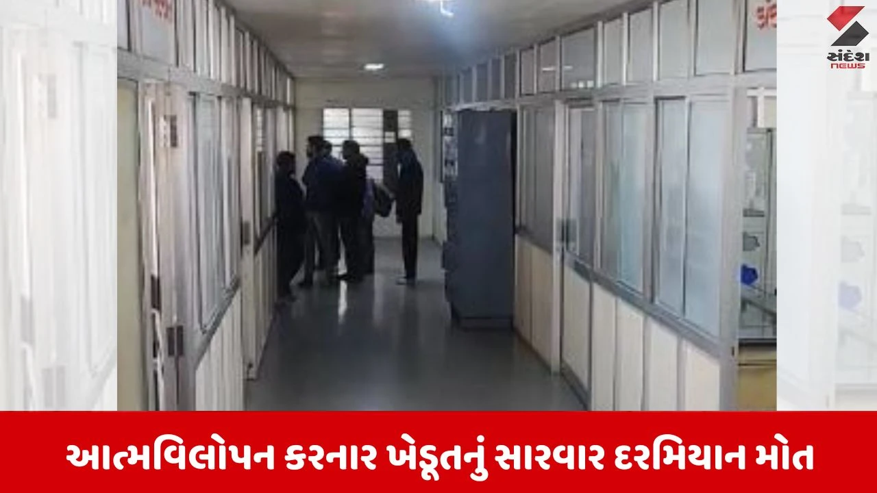 Anand News :  ભ્રષ્ટાચાર અને દબંગાઇ મામલે ખેડૂતનું આત્મવિલોપન, ભરતભાઈ પઢિયારનું સારવાર દરમિયાન મોત 