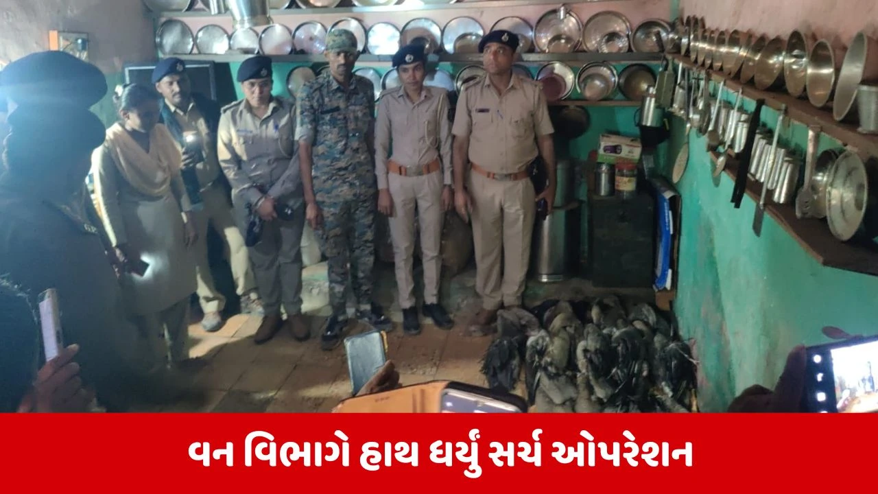 Sanand: નળસરોવર વિસ્તારમાંથી વિદેશી પક્ષીઓ અને પ્રતિબંધિત વસ્તુઓ મળી આવી, 3 આરોપીઓ ફરાર 