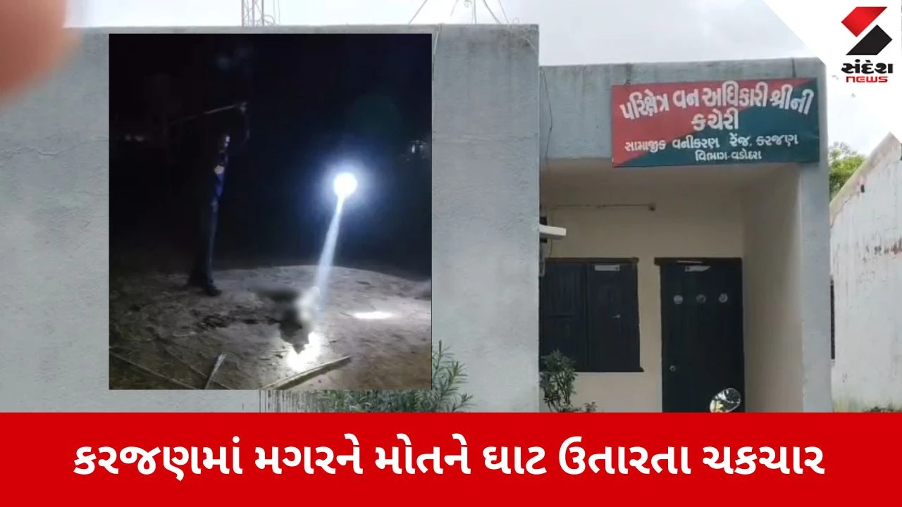 Vadodara News: કરજણમાં મગરની હત્યા કરી તળાવમાં ફેંકી દીધો, વન વિભાગ હરકતમાં 