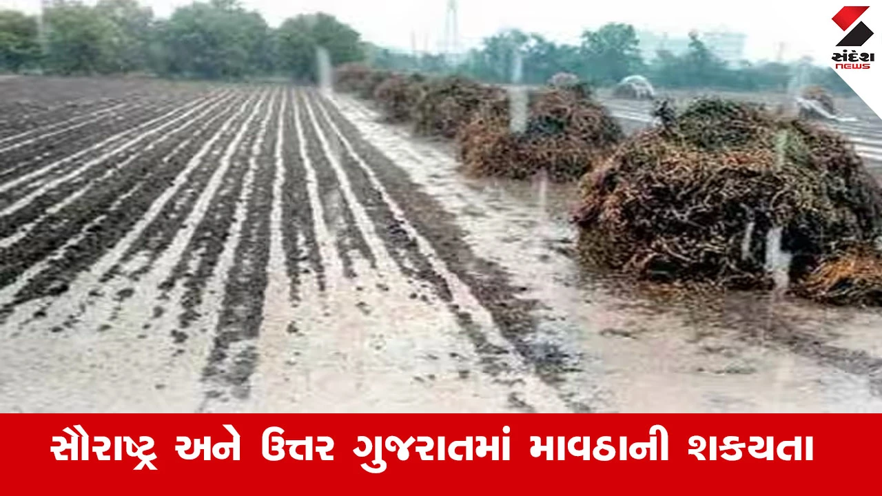 સૌરાષ્ટ્ર અને ઉત્તર ગુજરાતમાં માવઠાની આગાહી, ખેડૂતોને પાક સલામત સ્થળે ખસેડવાની સૂચના અપાઈ. Agriculture News.
