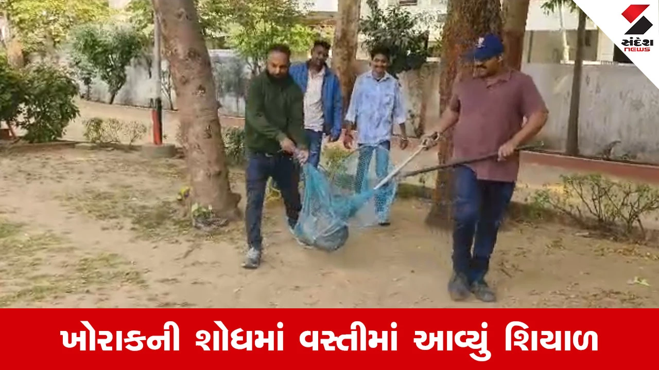Vadodara ના સમામાં શિયાળનો ફફડાટ, બે કલાકની ભારે જહેમત બાદ વન વિભાગે કર્યું સફળ રેસ્ક્યુ! 