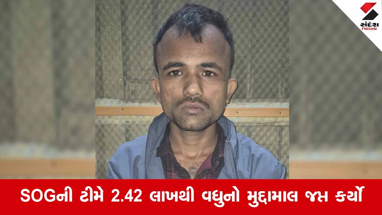 Navsari News: એસઓજી પોલીસની મોટી કાર્યવાહી, ગ્લો ગાર્ડન પાસેથી 5 કિલો ગાંજા સાથે વોન્ટેડ આરોપીની ધરપકડ 