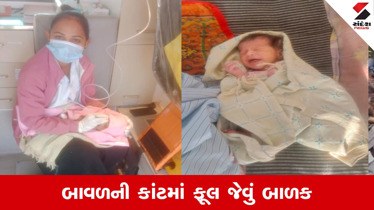 Jasdan માં માનવતા લજાઈ, સાણથલી રોડ પર બાવળની ઝાડીઓમાંથી મળી આવ્યું નવજાત શિશુ 